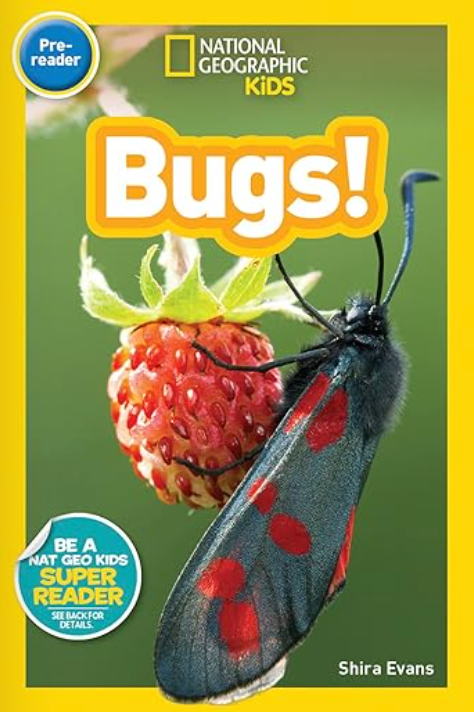 Bugs National Geographic Kids Paperback