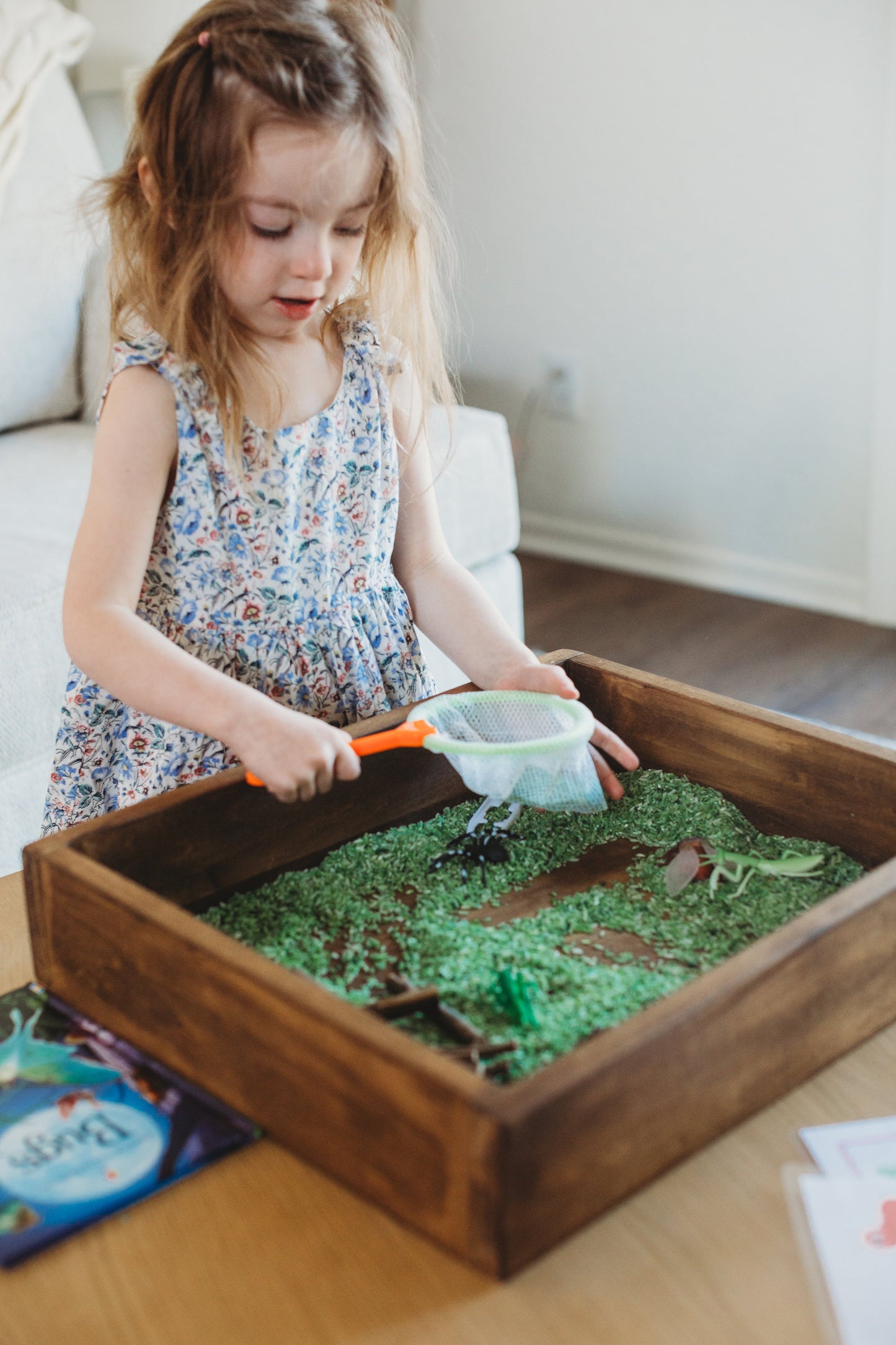 Bugs Book Box