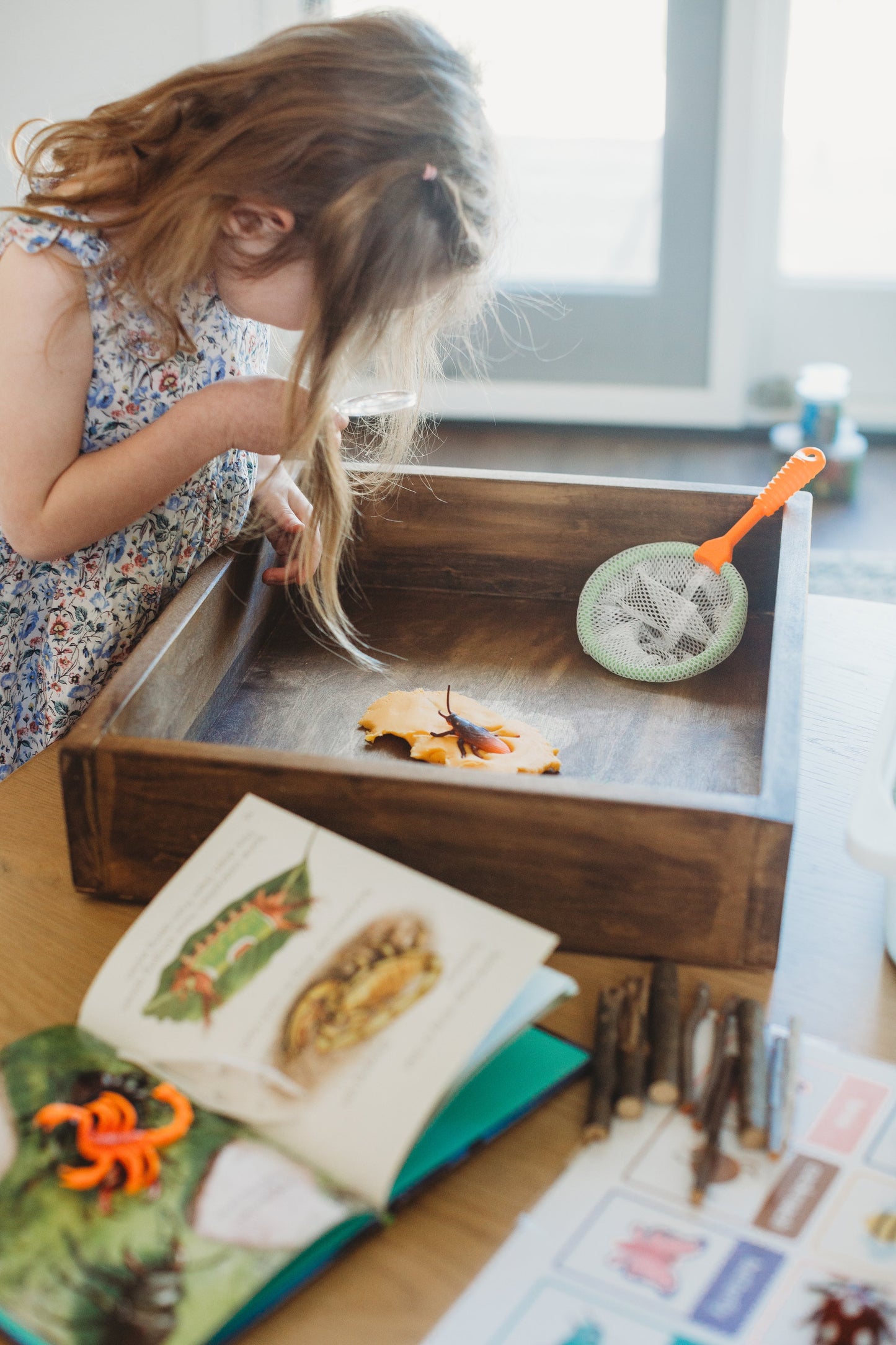 Bugs Book Box