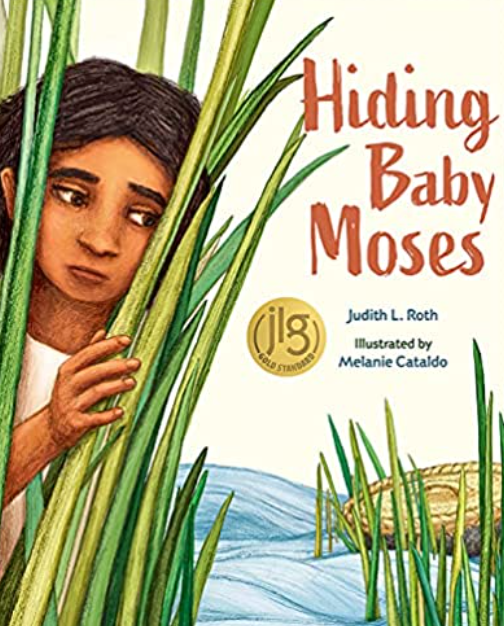 Hiding Baby Moses Hardback Book